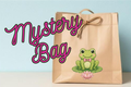 Mystery Bag