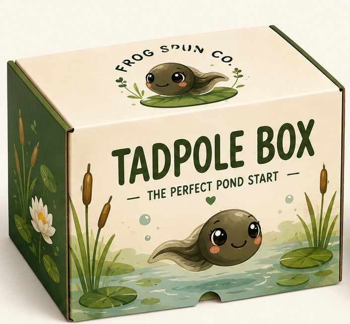 The Tadpole Box